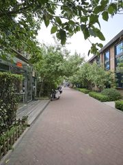 青年路联排独栋办公室实景图 3