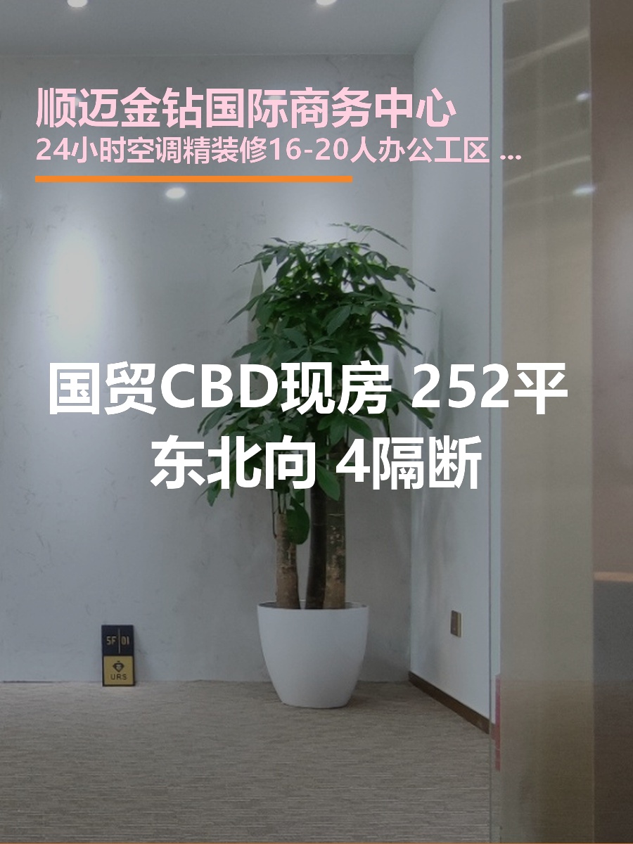 国贸CBD现房 252平 东北向 4隔断