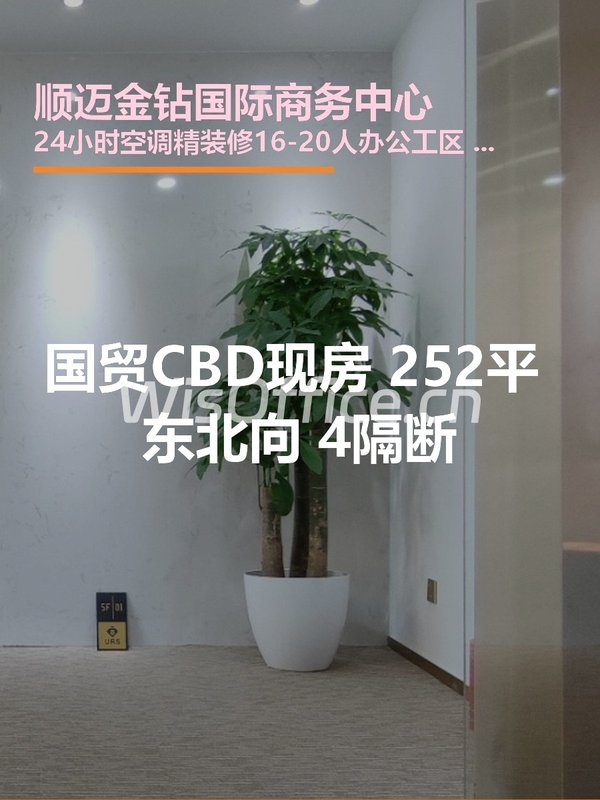 顺迈金钻国际商务中心252㎡实景图