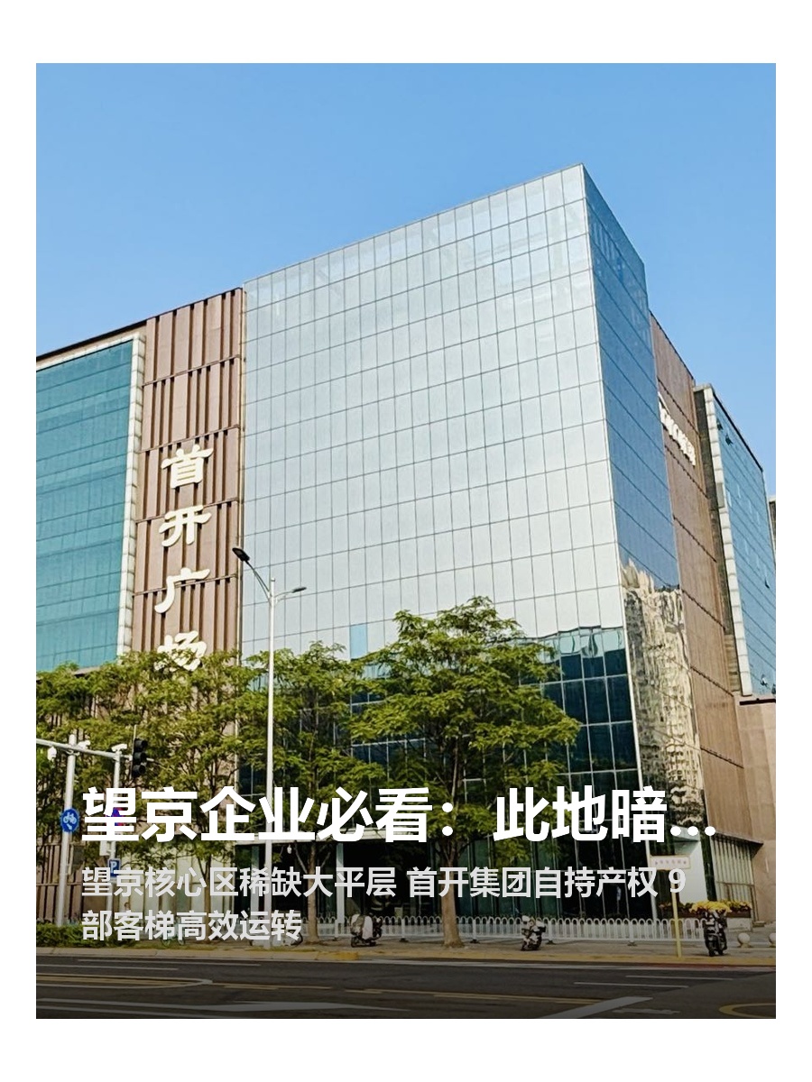 望京企业必看：此地暗藏基业长青之道