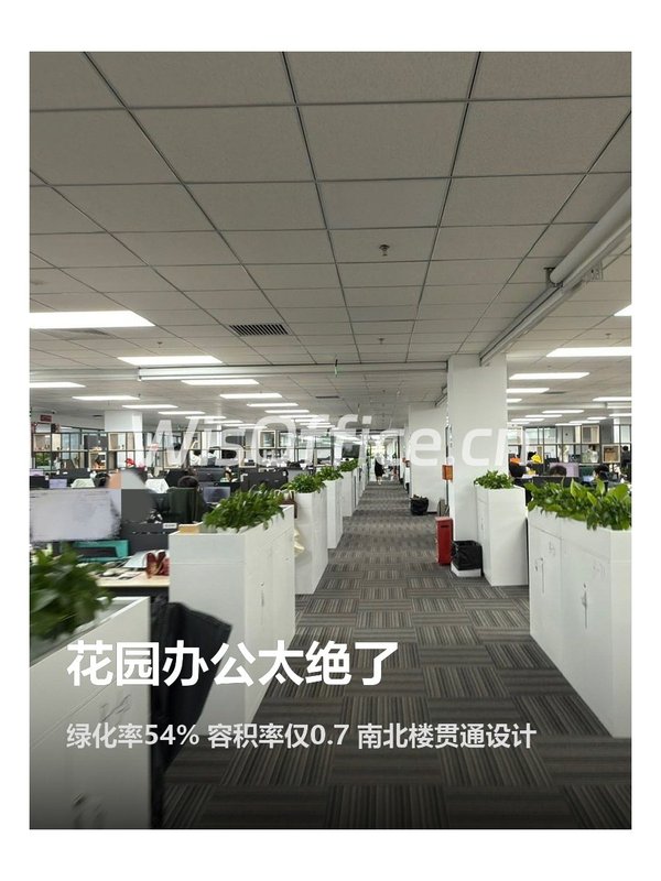 花园办公太绝了 - 首图