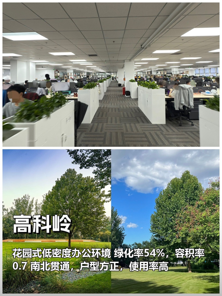为何企业三年内要重新定义办公空间？