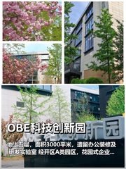 如何在预算内实现拎包入驻，省下百万装修费？ - 缩略图 1