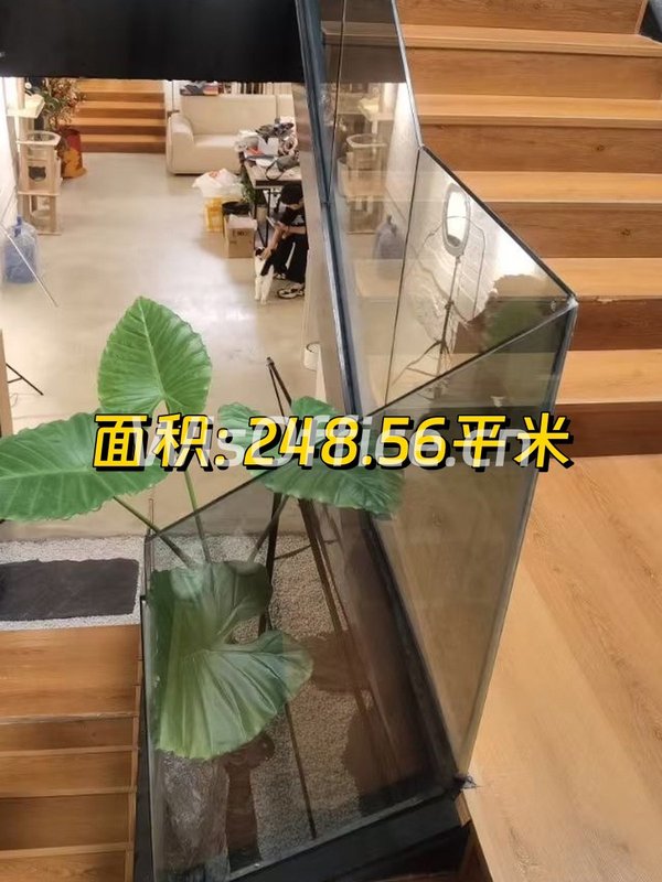 CBD写字园248.56㎡实景图