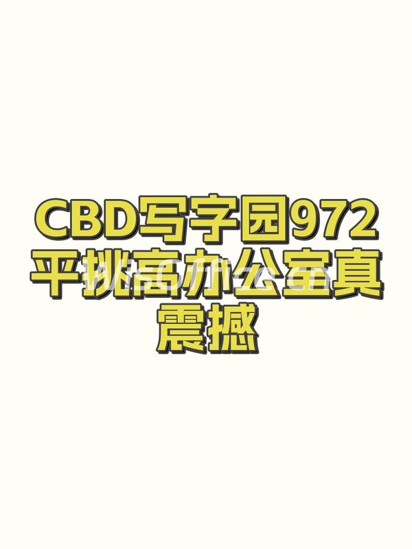 CBD写字园972.58㎡实景图