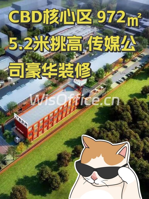 CBD写字园972.58㎡实景图