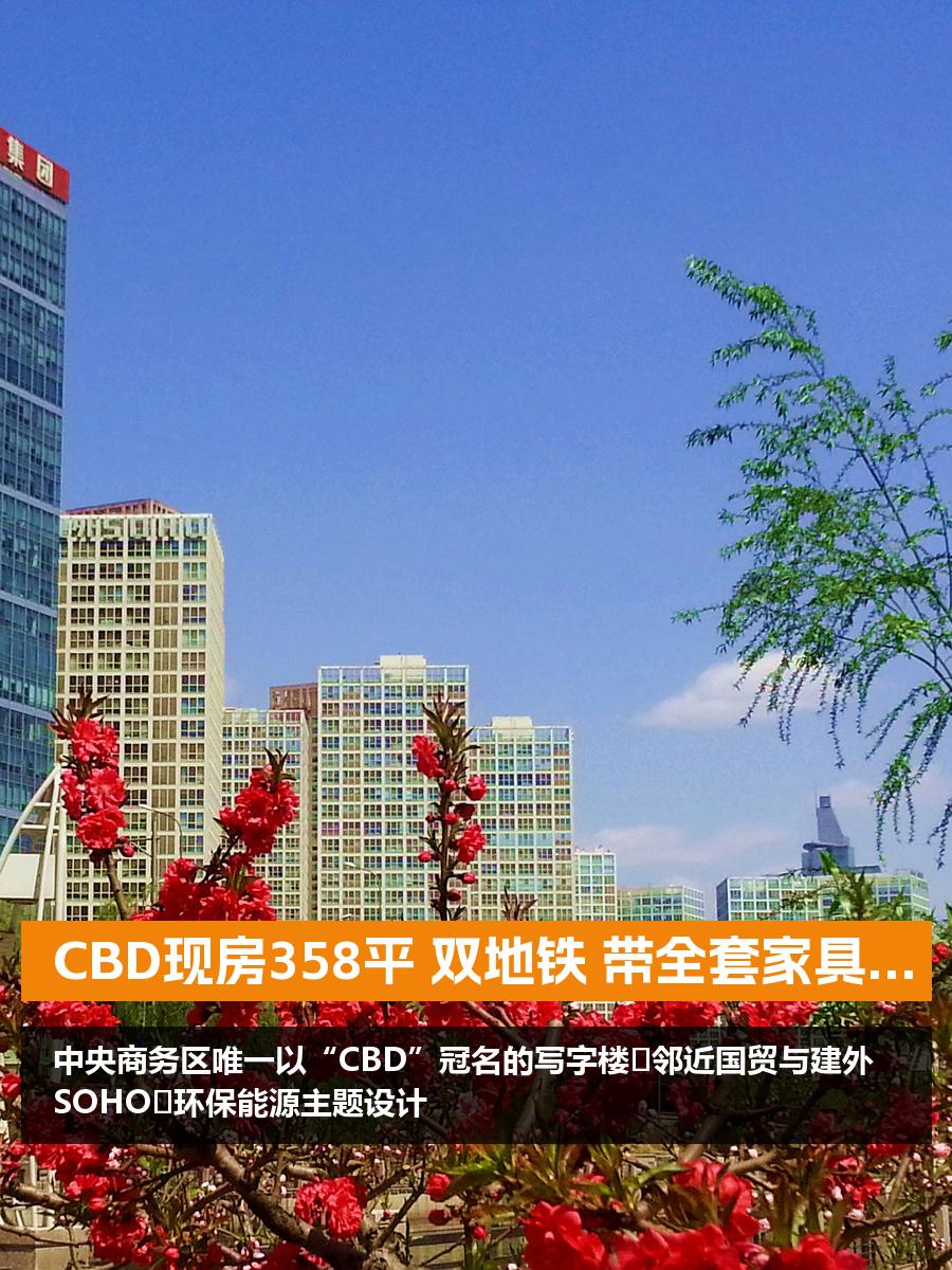 CBD现房358平 双地铁 带全套家具 新装修