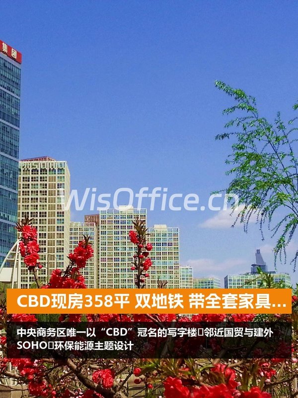 CBD国际大厦358㎡实景图
