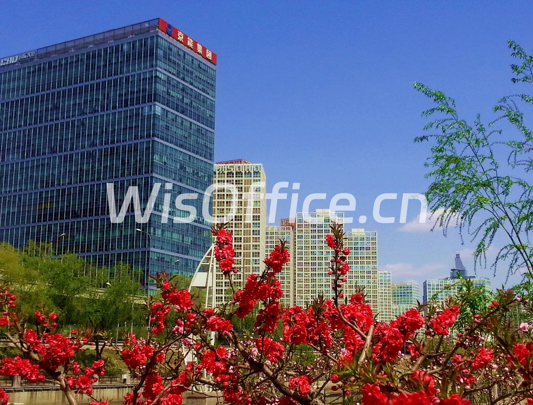 CBD国际大厦358㎡实景图
