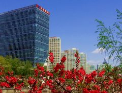 CBD国际大厦办公室实景图 2