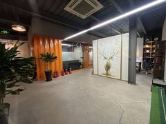 DREAM2049独栋双露台578平 - 缩略图 3