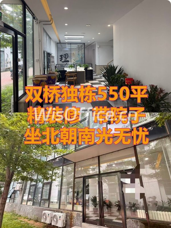 双桥独栋550平 精装修带院子 - 首图