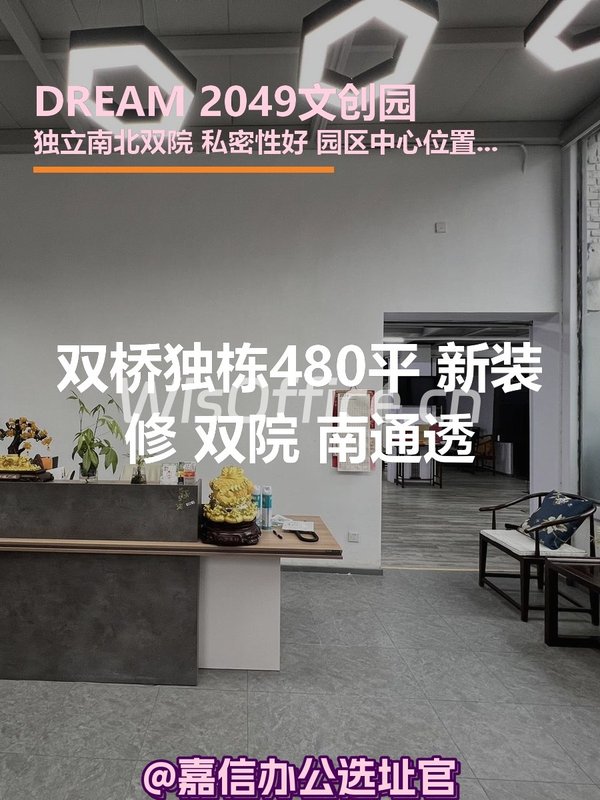 双桥独栋480平 新装修 双院 南通透 - 首图