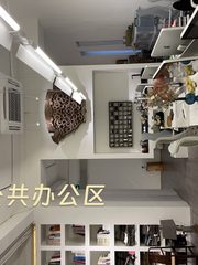 双桥独栋260平 前后院4米挑高 - 缩略图 4