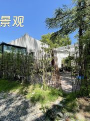 双桥独栋260平 前后院4米挑高 - 缩略图 9