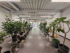 813创意园 独栋复式 三层516平米 - 缩略图 3