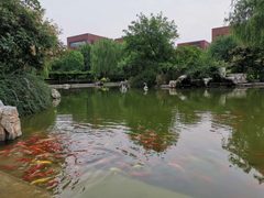今天来看房，110平独栋办公 - 缩略图 15
